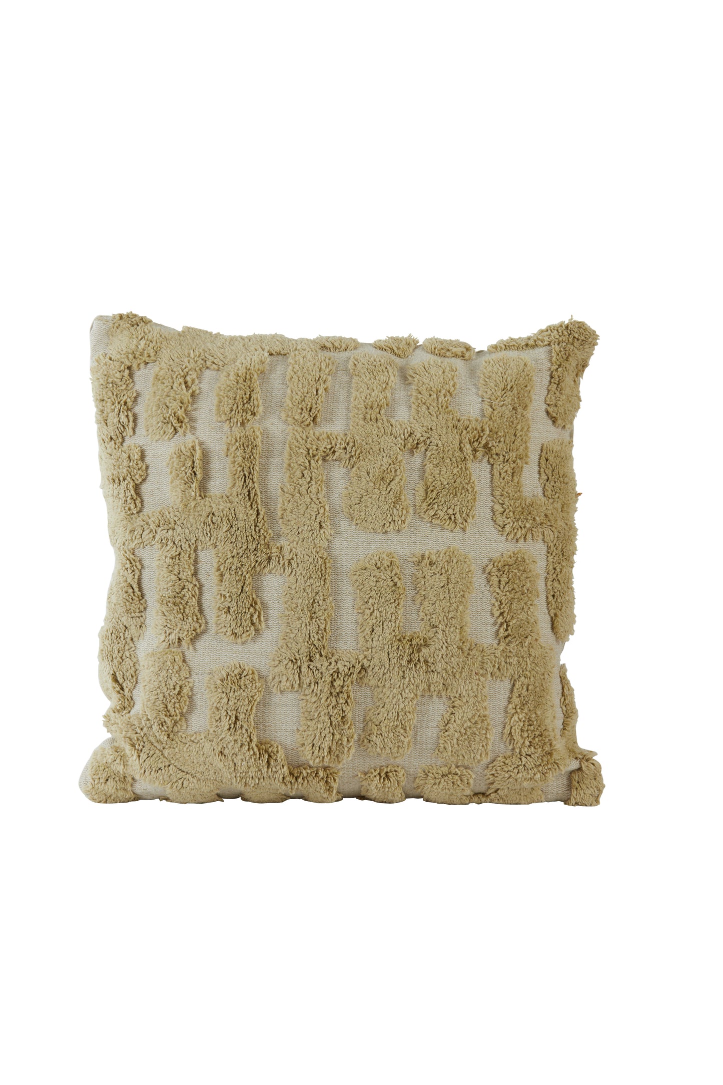 Earthy Elegance Cushion