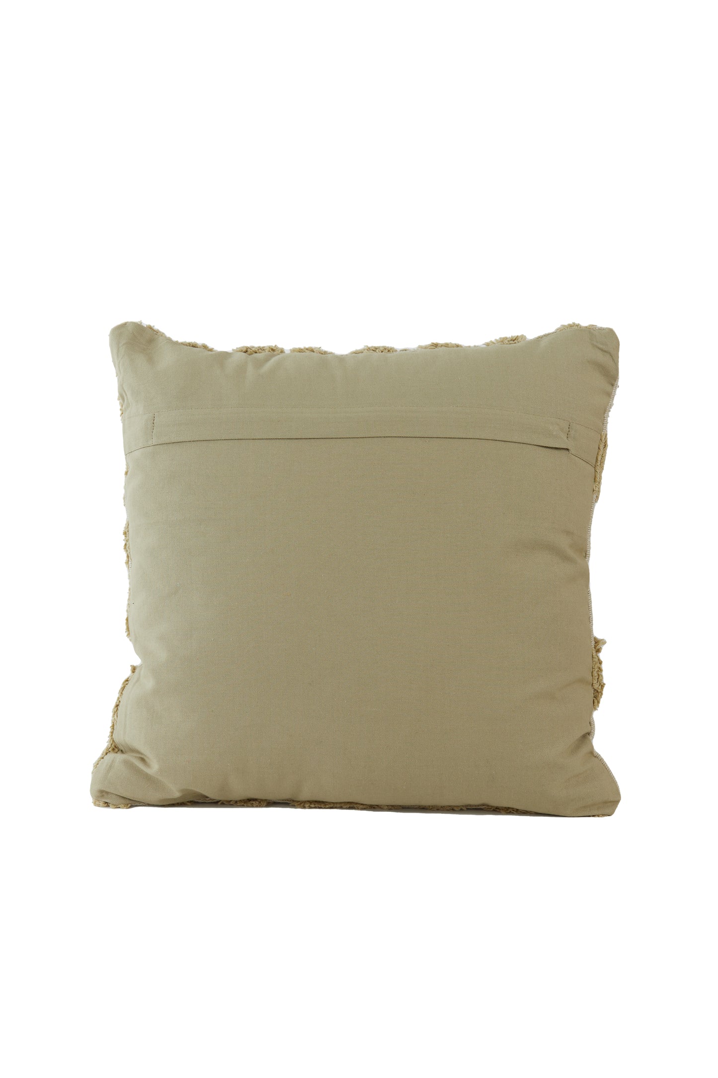 Earthy Elegance Cushion