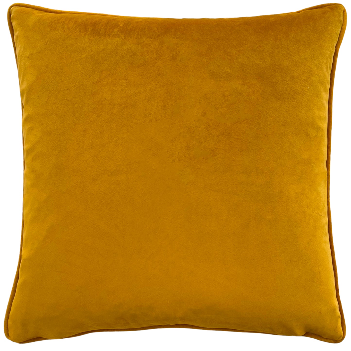 Celestial Garden Cushion